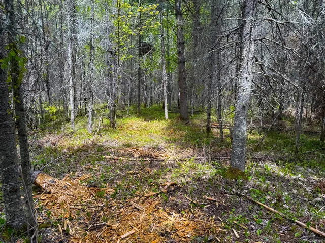 $89,000 | 72-xxx East Central Lakes Road, Eveleth, MN 55734