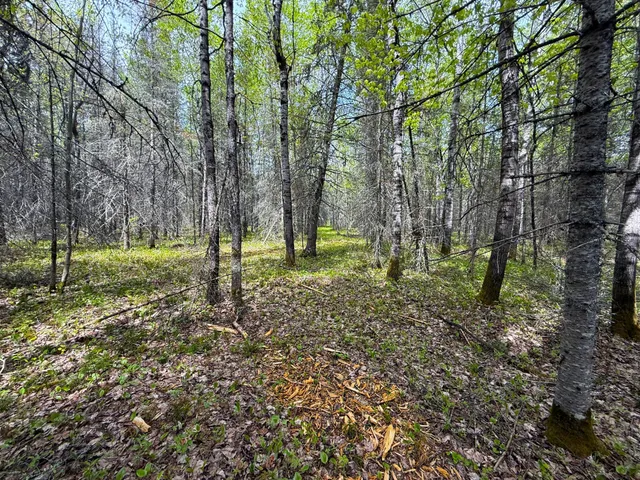 $89,000 | 72-xxx East Central Lakes Road, Eveleth, MN 55734