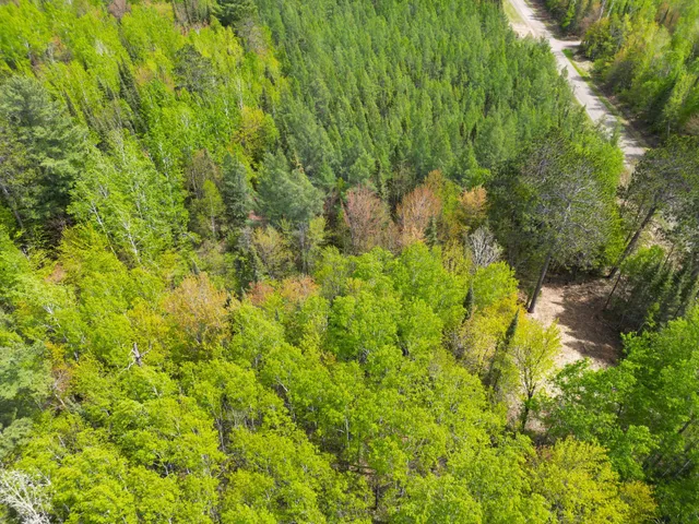 $89,000 | 72-xxx East Central Lakes Road, Eveleth, MN 55734