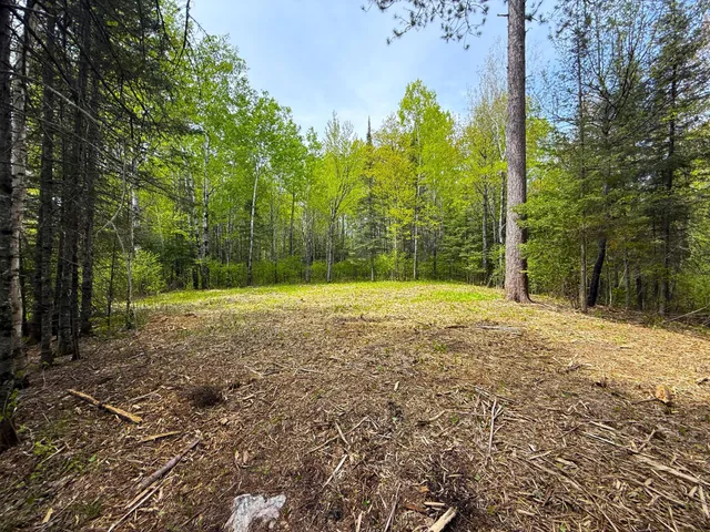 $89,000 | 72-xxx East Central Lakes Road, Eveleth, MN 55734