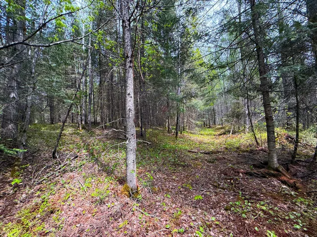 $89,000 | 72-xxx East Central Lakes Road, Eveleth, MN 55734