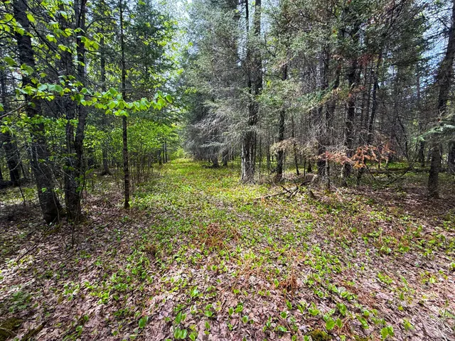 $89,000 | 72-xxx East Central Lakes Road, Eveleth, MN 55734