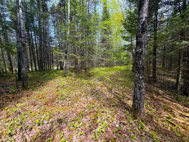 $89,000 | 72-xxx East Central Lakes Road, Eveleth, MN 55734