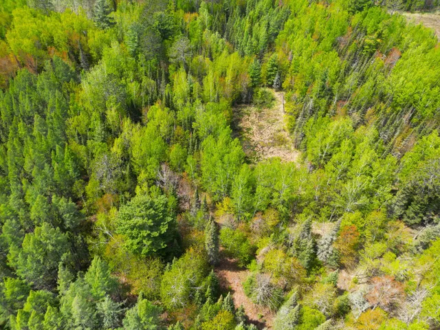 $89,000 | 72-xxx East Central Lakes Road, Eveleth, MN 55734