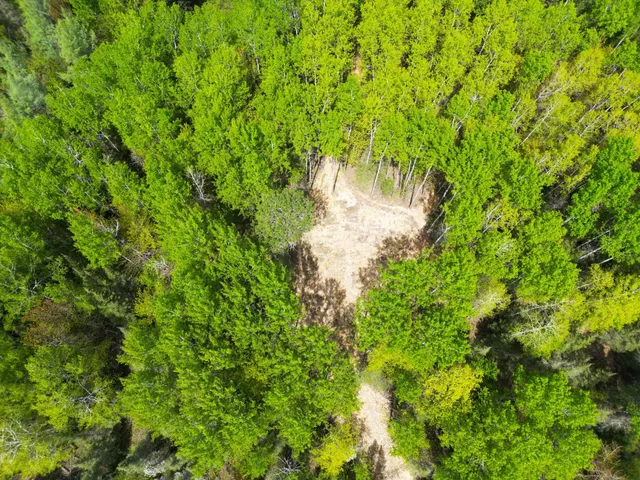 $89,000 | 72-xxx East Central Lakes Road, Eveleth, MN 55734