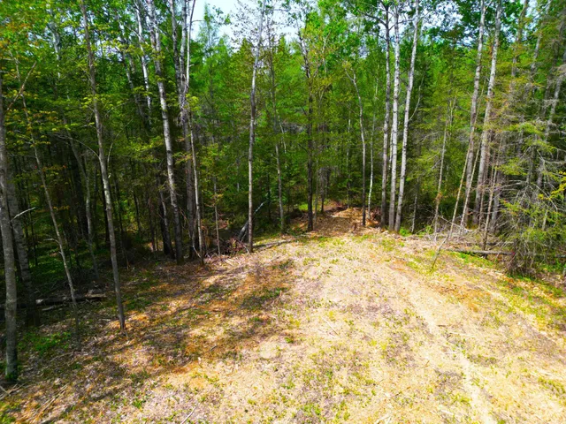 $89,000 | 72-xxx East Central Lakes Road, Eveleth, MN 55734