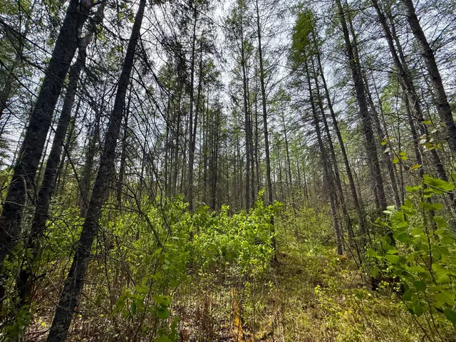 $89,000 | 72-xxx East Central Lakes Road, Eveleth, MN 55734