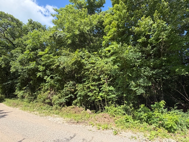 Tbd Freedom Road Winslow, AR 72959 - Photo 11 of 14 Gallery Image 11