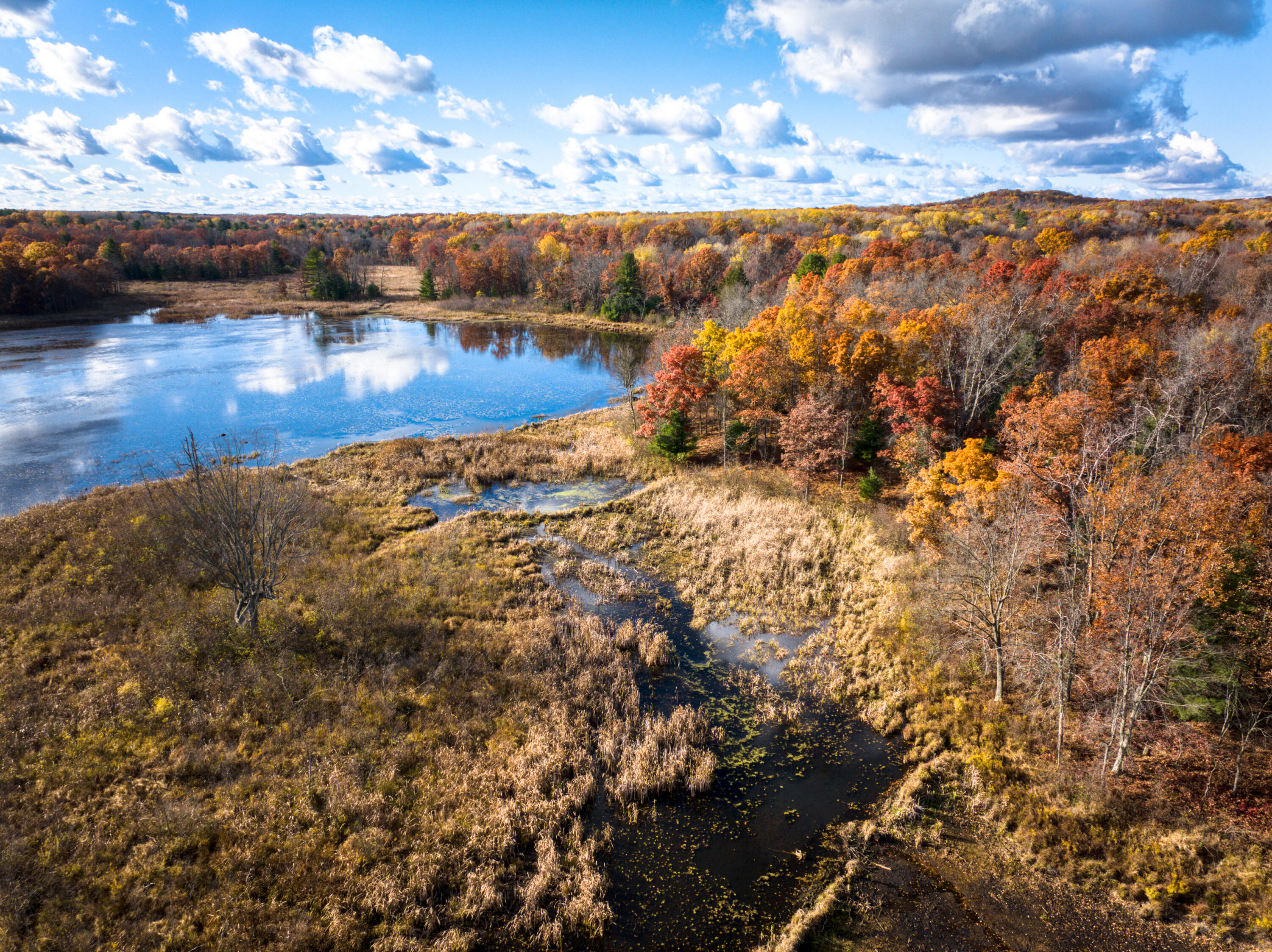 8686 East 3 Mile Road Stanwood, MI 49346 - Photo 1 of 19 DJI_20251017025450_0868_D_9