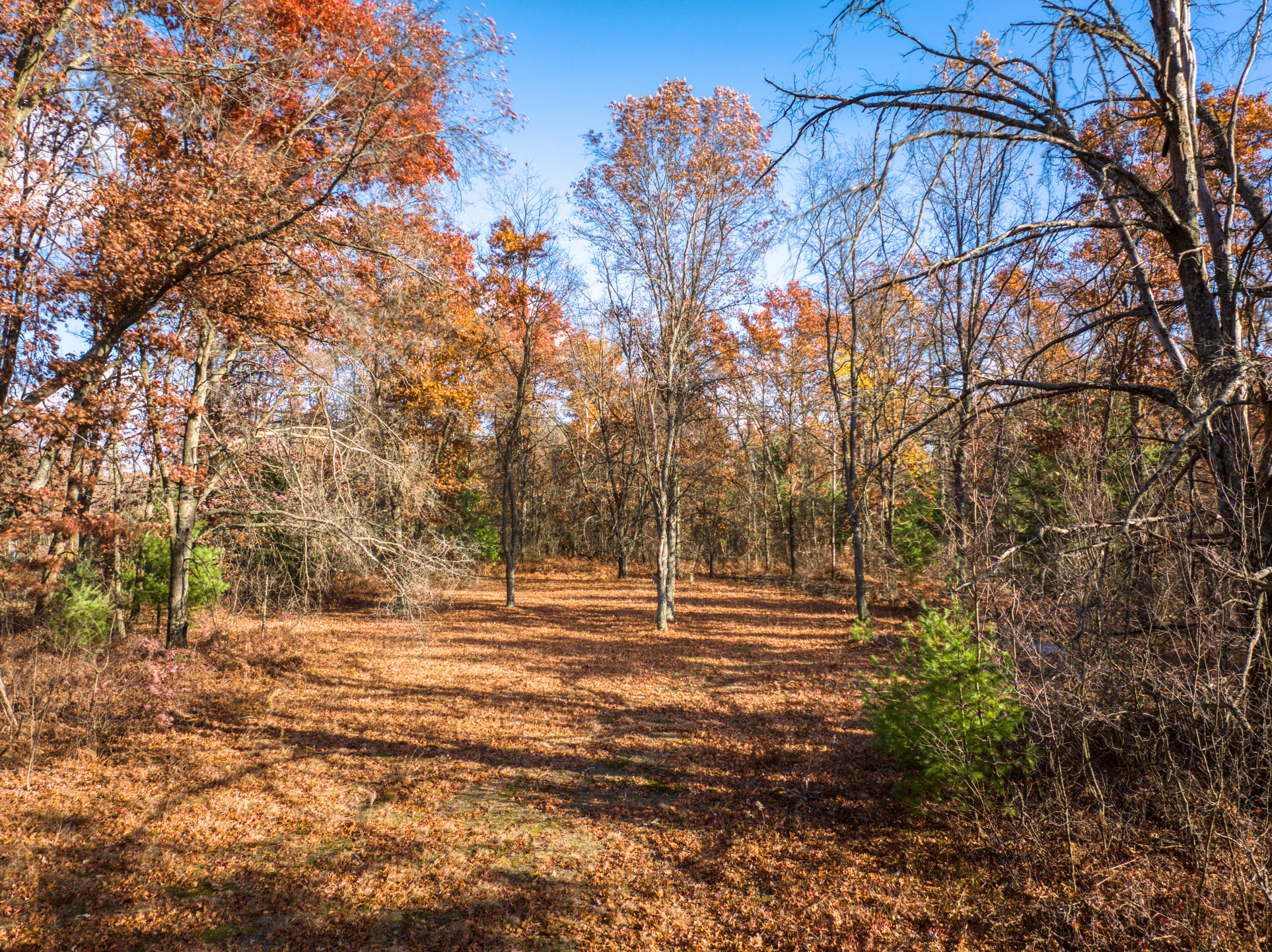 8686 East 3 Mile Road Stanwood, MI 49346 - Photo 11 of 19 DJI_20251017030959_0911_D_18