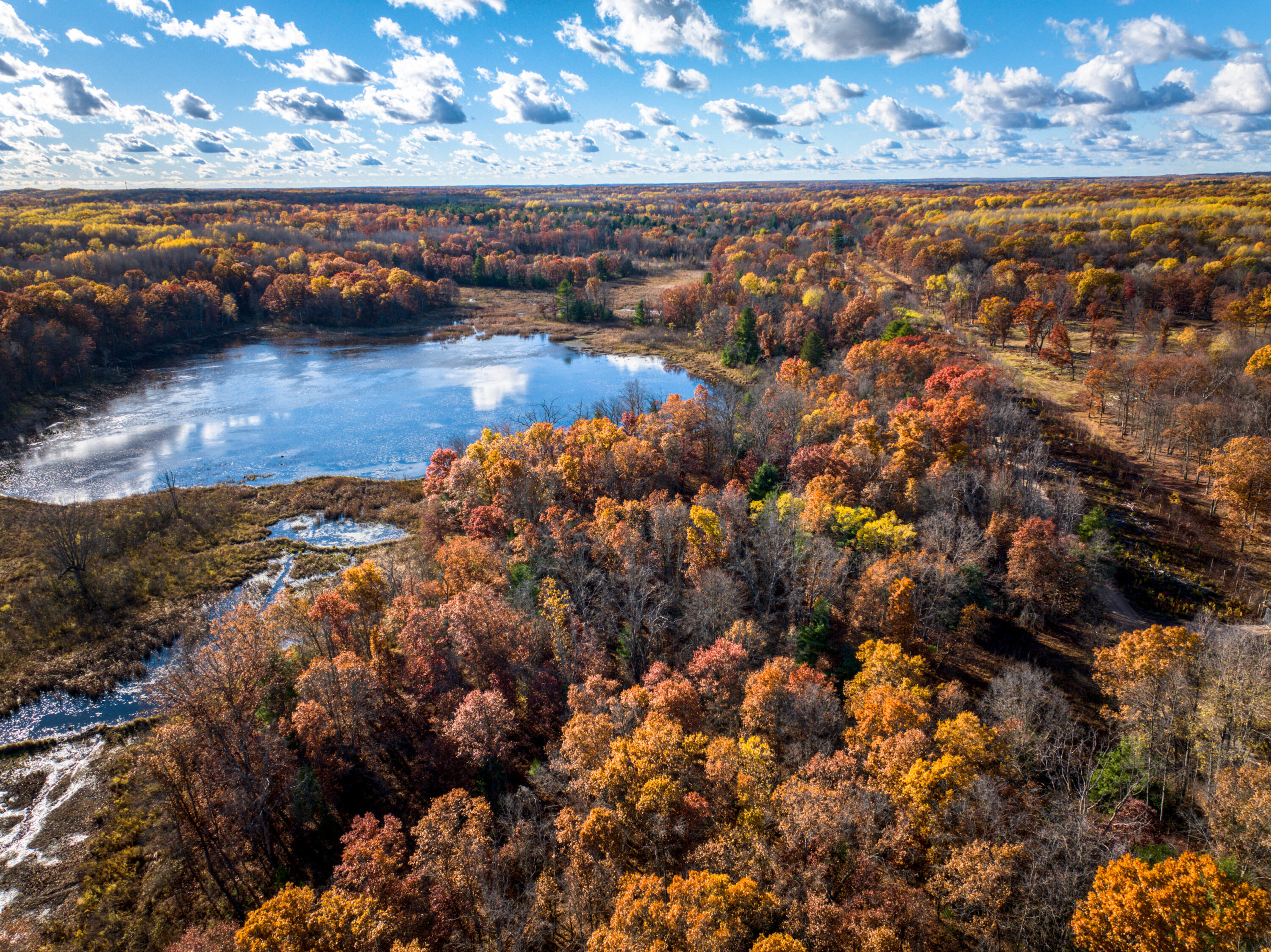 8686 East 3 Mile Road Stanwood, MI 49346 - Photo 12 of 19 DJI_20251017030116_0908_D_17