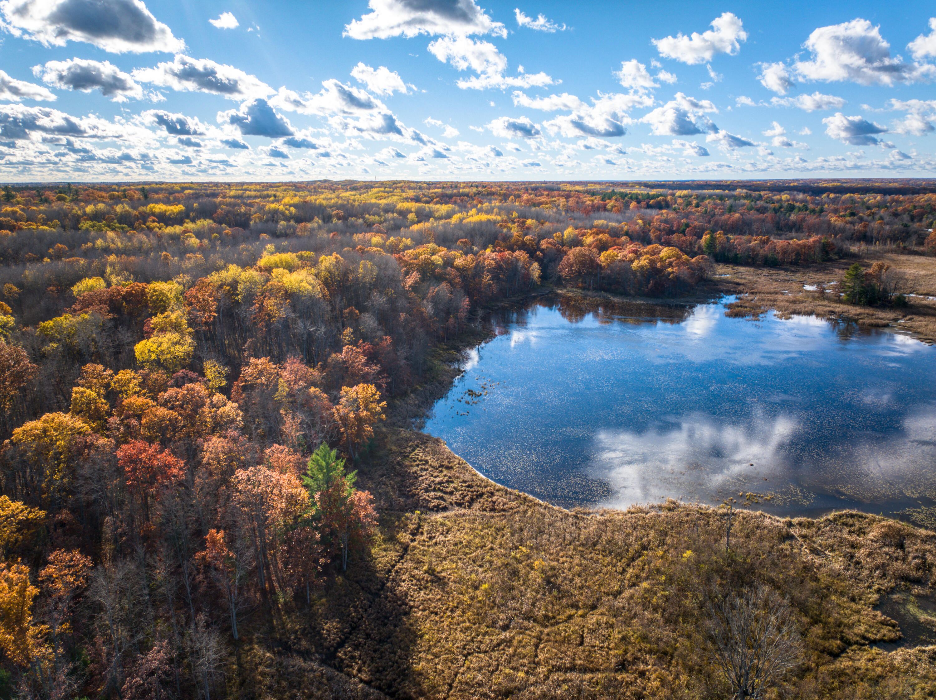 8686 East 3 Mile Road Stanwood, MI 49346 - Photo 13 of 19 DJI_20251017030016_0903_D_16