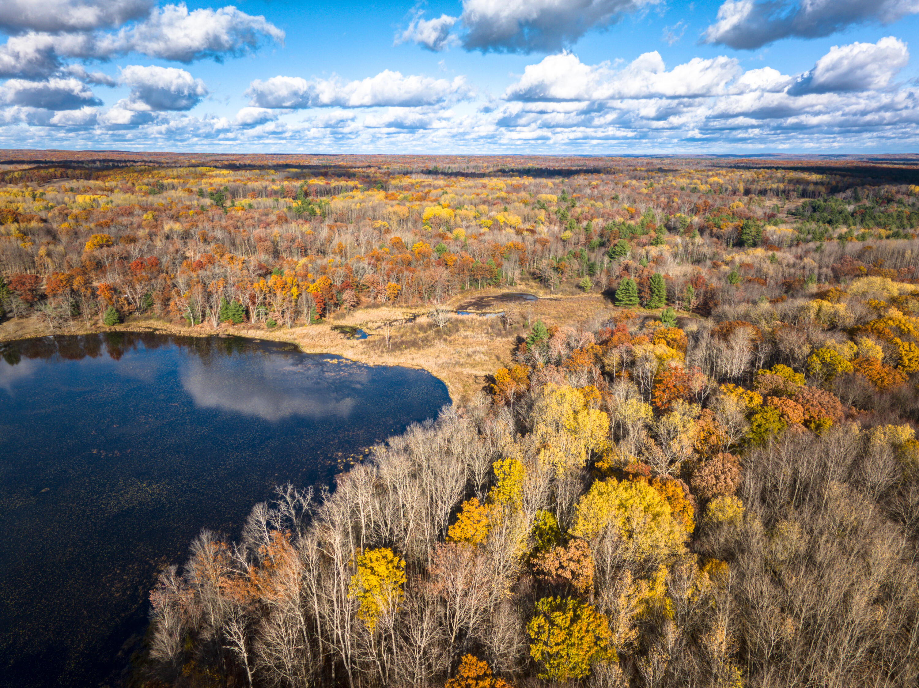 8686 East 3 Mile Road Stanwood, MI 49346 - Photo 14 of 19 DJI_20251017025802_0888_D_13