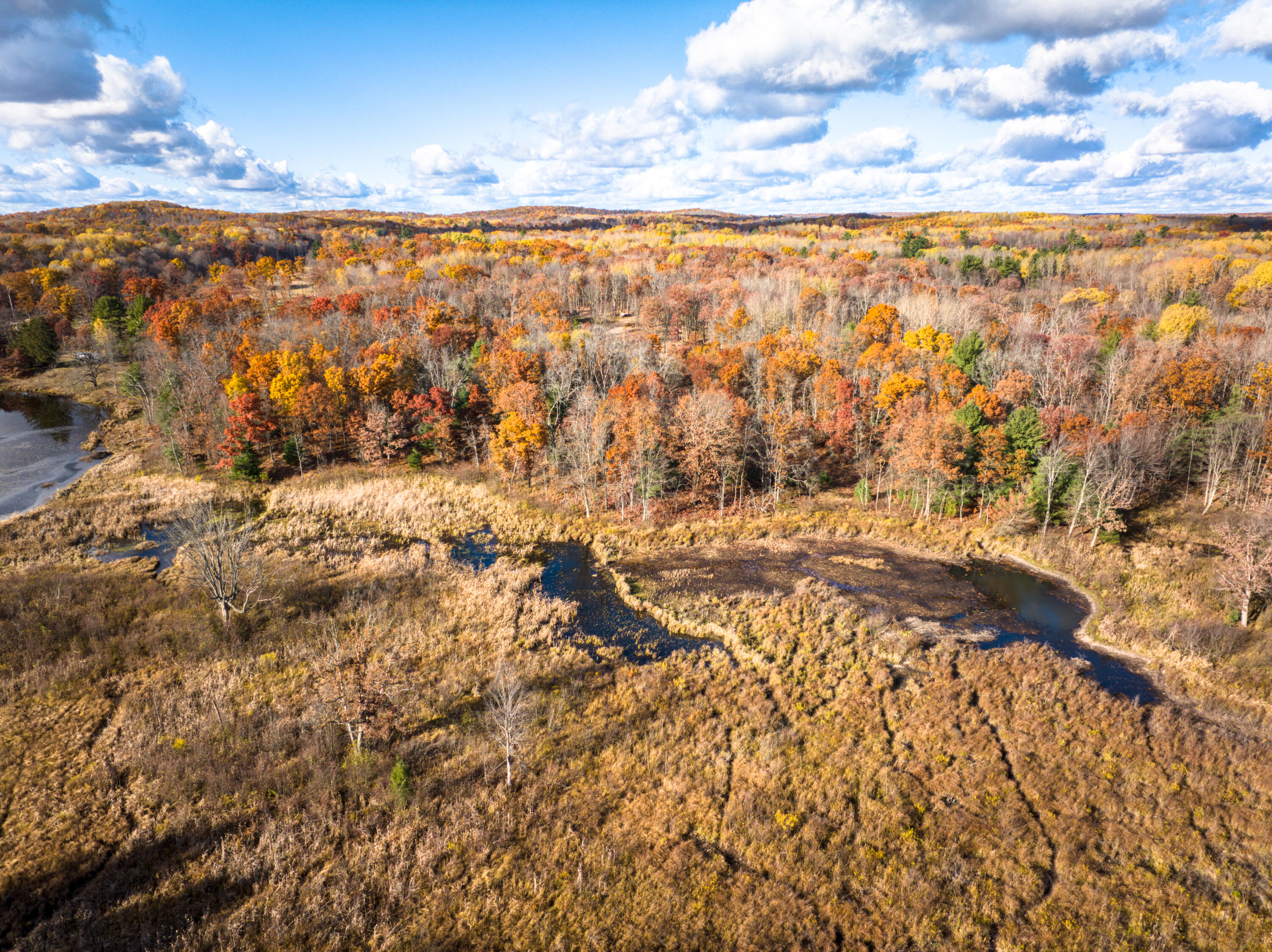 8686 East 3 Mile Road Stanwood, MI 49346 - Photo 15 of 19 DJI_20251017025854_0893_D_14