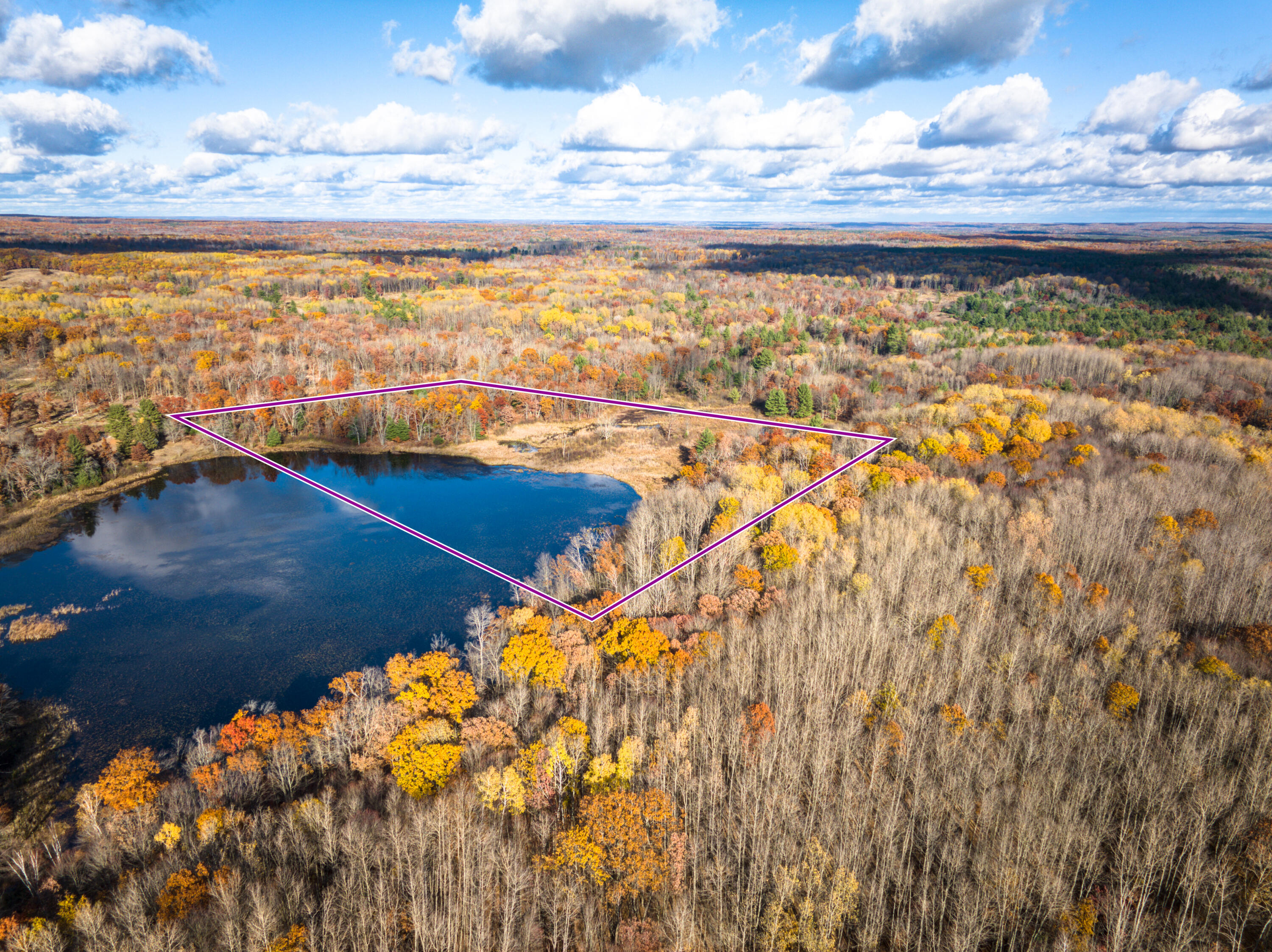 8686 East 3 Mile Road Stanwood, MI 49346 - Photo 16 of 19 DJI_20251017025730_0883_D_12