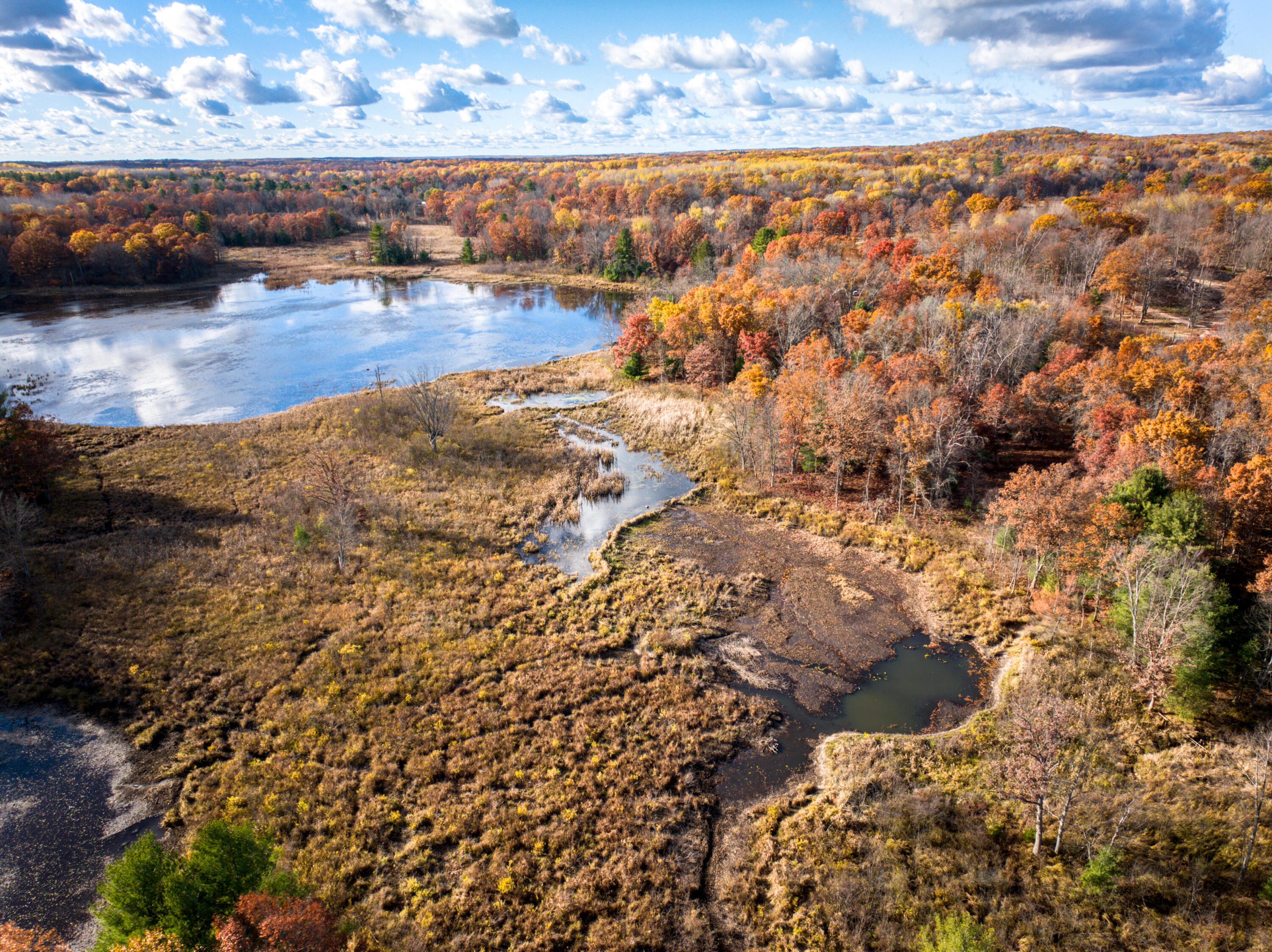 8686 East 3 Mile Road Stanwood, MI 49346 - Photo 19 of 19 DJI_20251017025351_0858_D_7