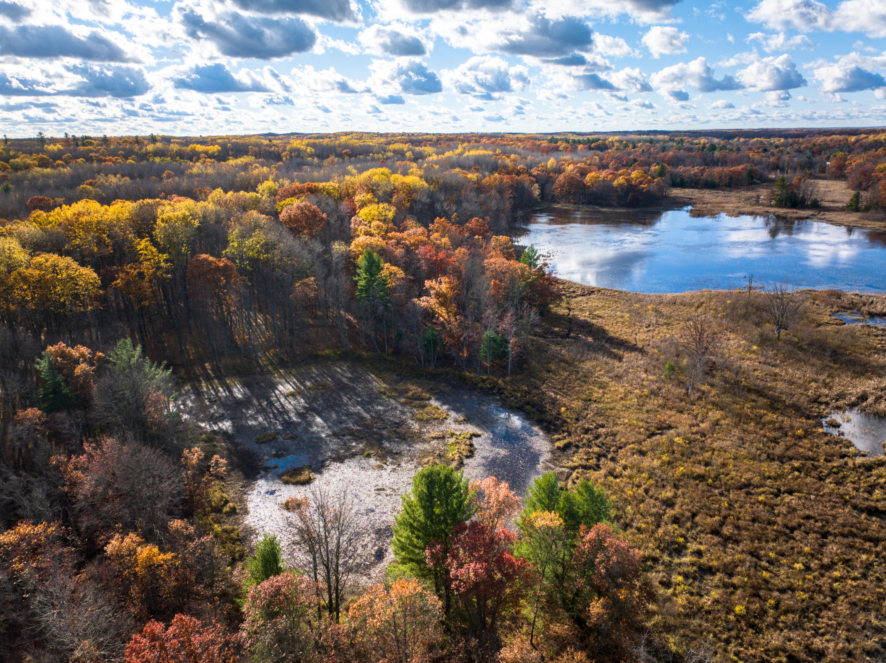 8686 East 3 Mile Road Stanwood, MI 49346 - Photo 2 of 19 DJI_20251017025415_0863_D_8