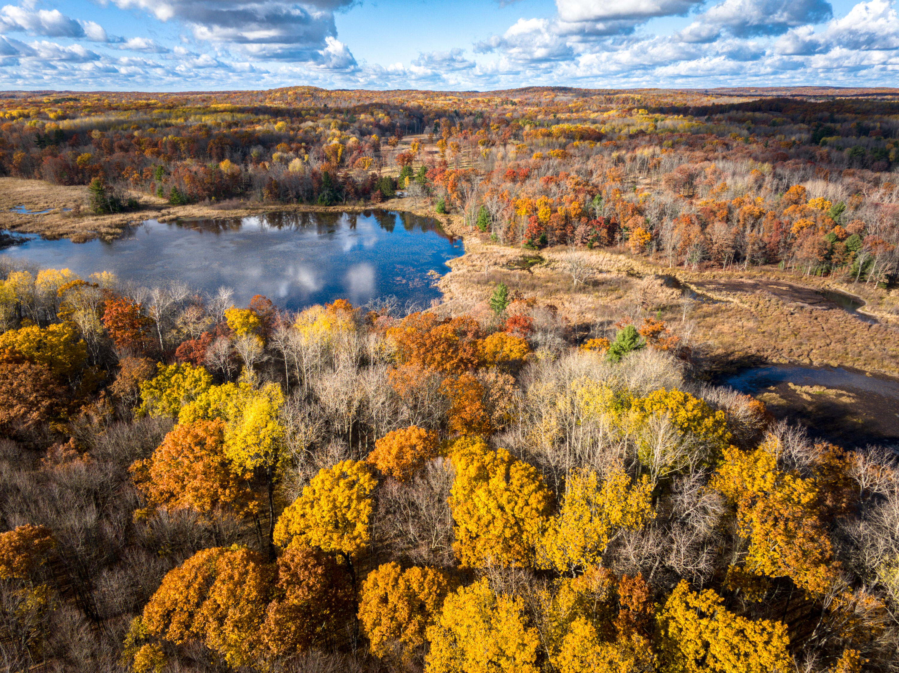 8686 East 3 Mile Road Stanwood, MI 49346 - Photo 4 of 19 DJI_20251017025251_0848_D_5