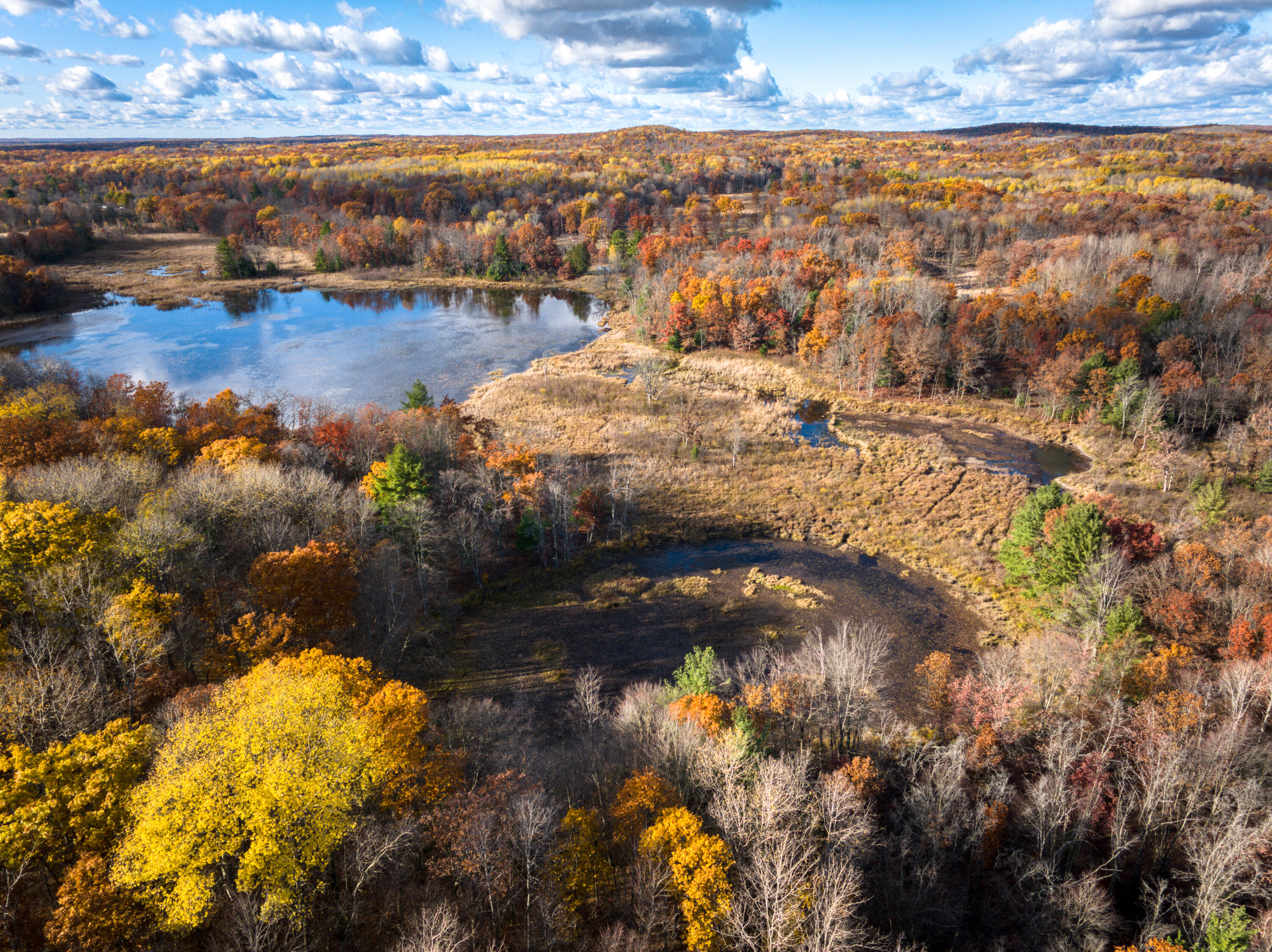 8686 East 3 Mile Road Stanwood, MI 49346 - Photo 5 of 19 DJI_20251017025318_0853_D_6
