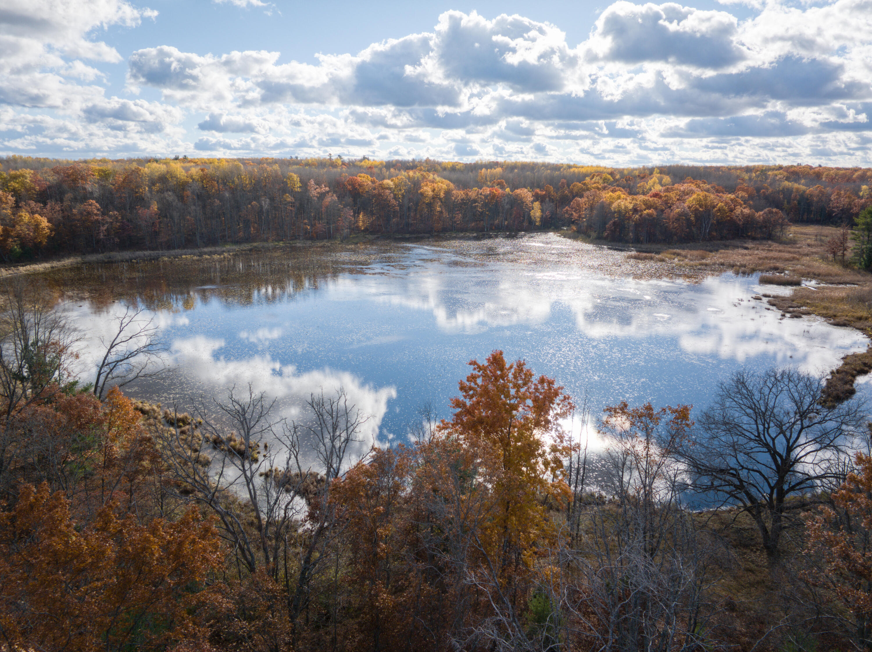 8686 East 3 Mile Road Stanwood, MI 49346 - Photo 8 of 19 DJI_20251017024815_0828_D_1 - Copy