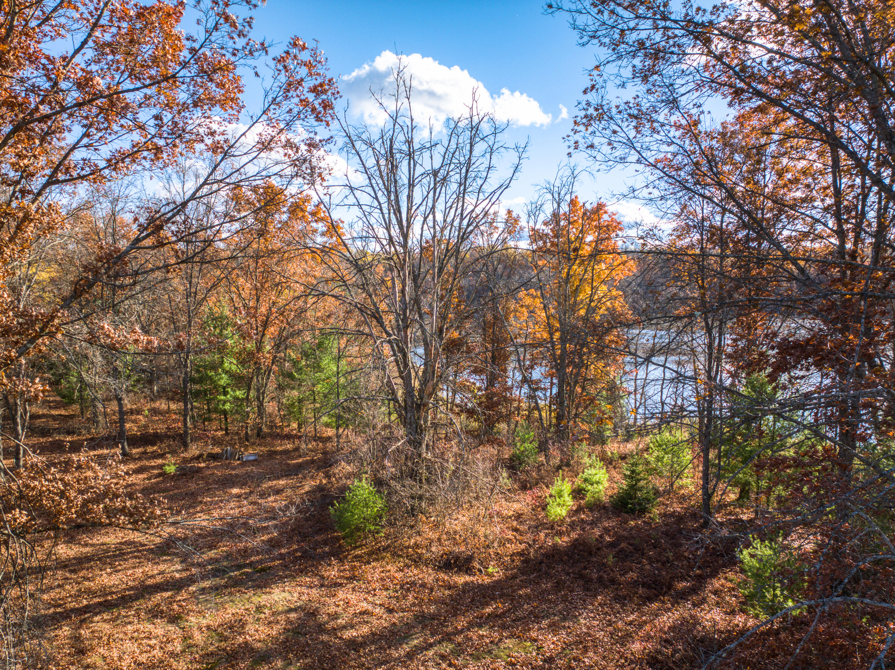 8686 East 3 Mile Road Stanwood, MI 49346 - Photo 9 of 19 DJI_20251017031050_0918_D_19 (1)
