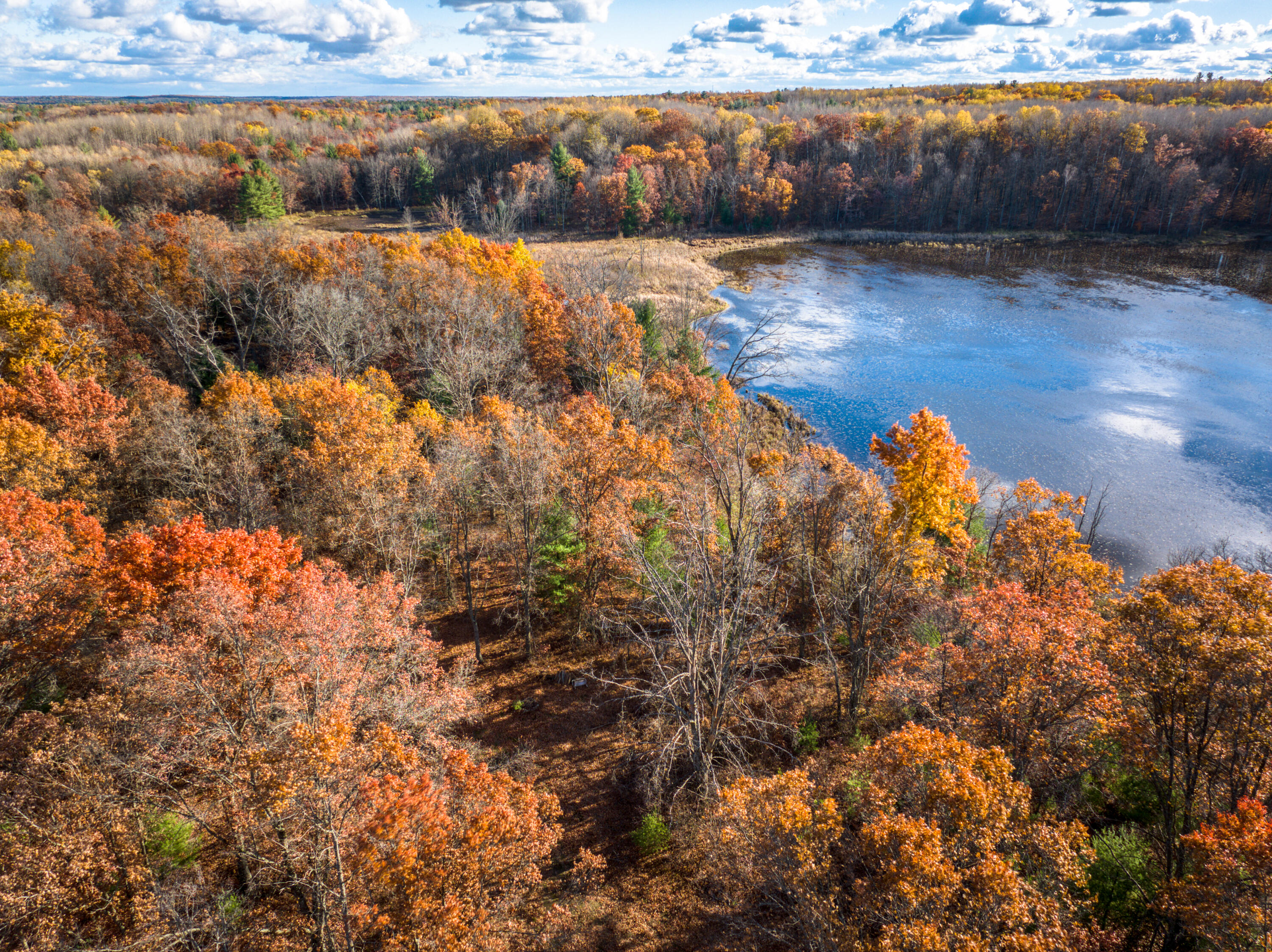 8686 East 3 Mile Road Stanwood, MI 49346 - Photo 10 of 19 DJI_20251017031147_0921_D_20