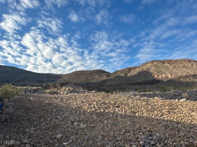 683 Value Ridge Avenue Henderson, NV 89012 - Photo 3 of 14