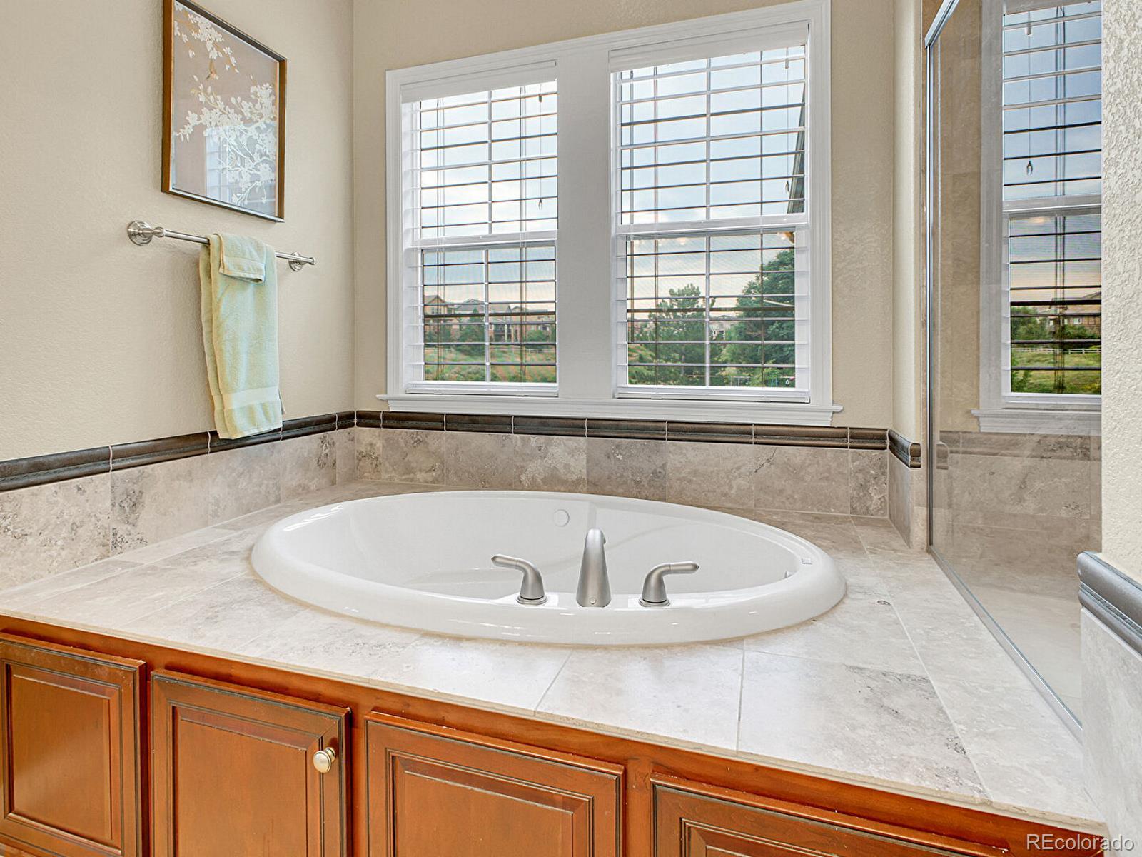 10432 Willowwisp Way Highlands Ranch, CO 80126 - Photo 11 of 50