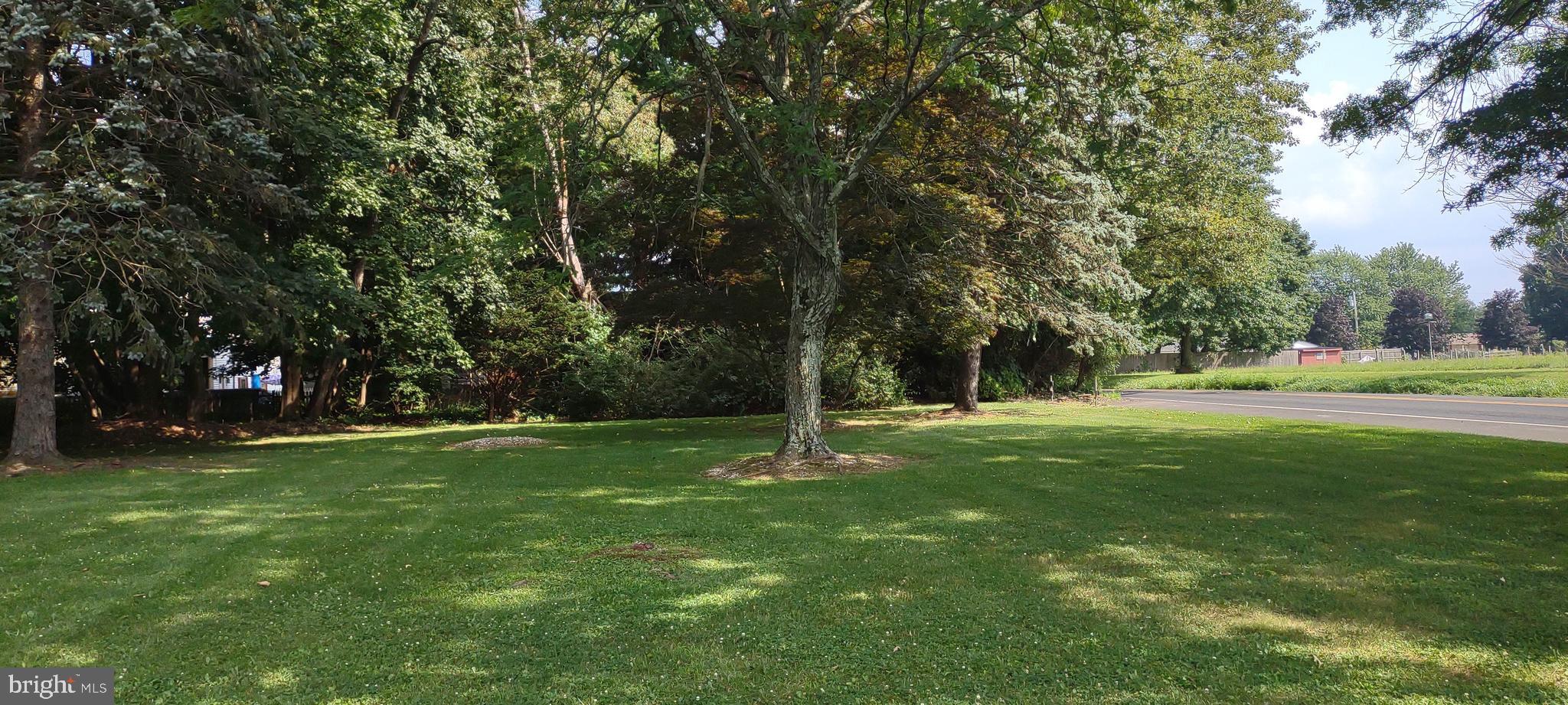1025 Callowhill Road Perkasie, PA 18944 - Photo 7 of 39 Front yard view