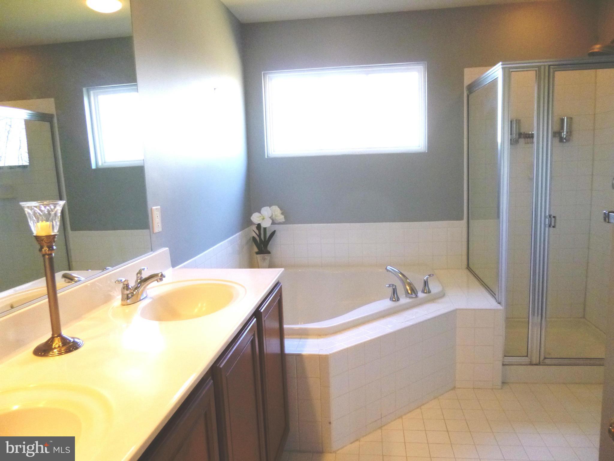 9081 Ribbon Falls Loop Bristow, VA 20136 - Photo 15 of 28 Bath (Master)