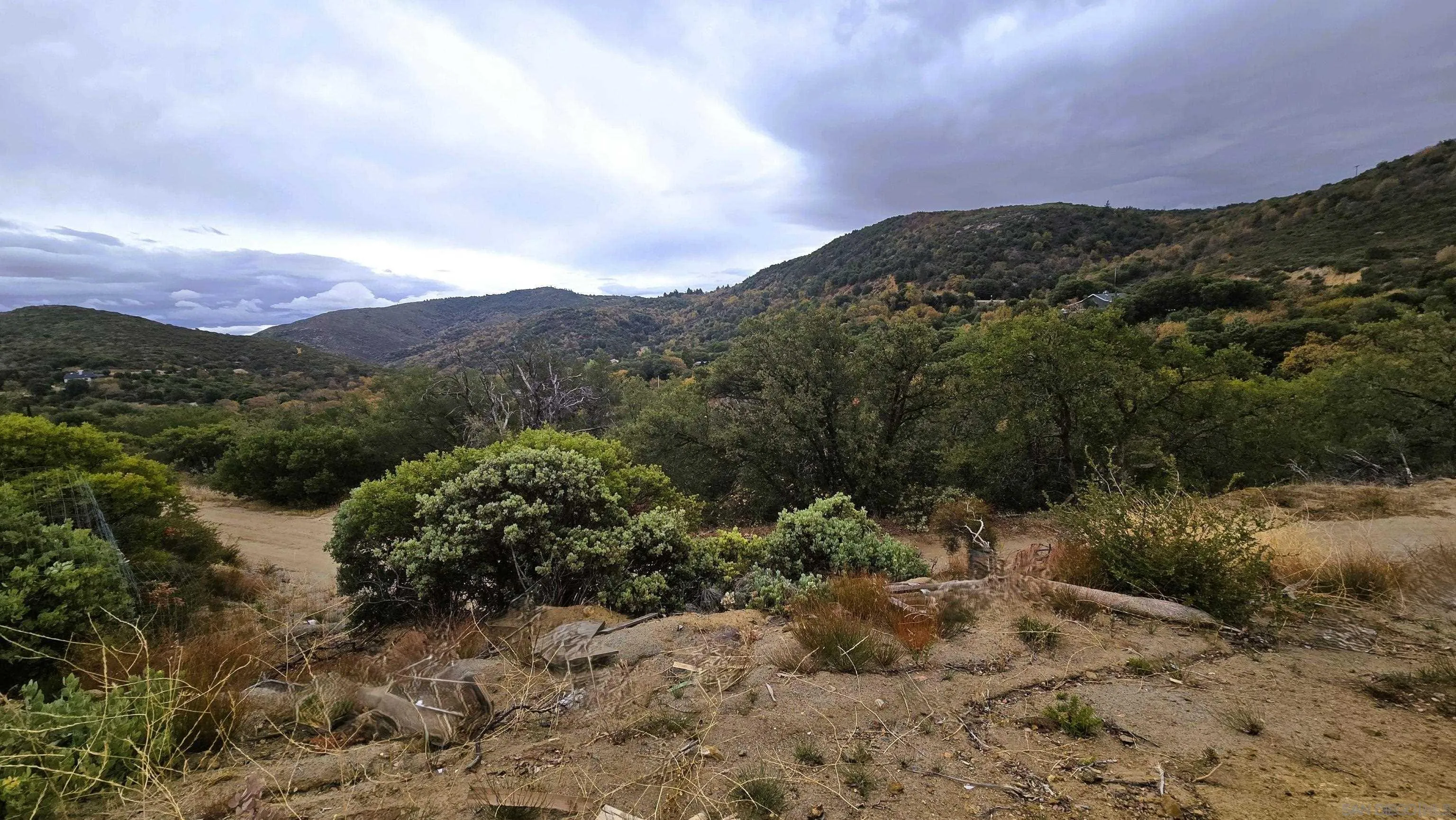 a view of a dry yard with mountains in the background