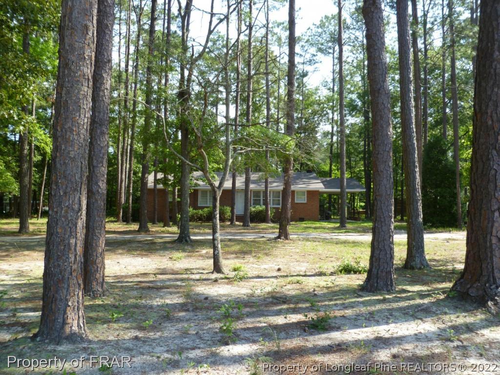 5169 Arabia Road Lumber Bridge, NC 28357 - Photo 1 of 36 Gallery Image 1
