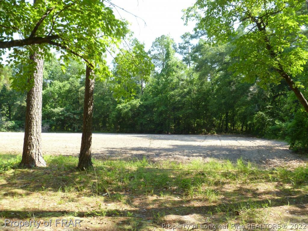 5169 Arabia Road Lumber Bridge, NC 28357 - Photo 28 of 36 Gallery Image 28