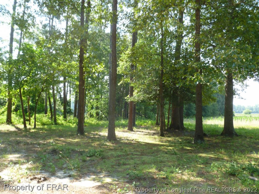 5169 Arabia Road Lumber Bridge, NC 28357 - Photo 29 of 36 Gallery Image 29