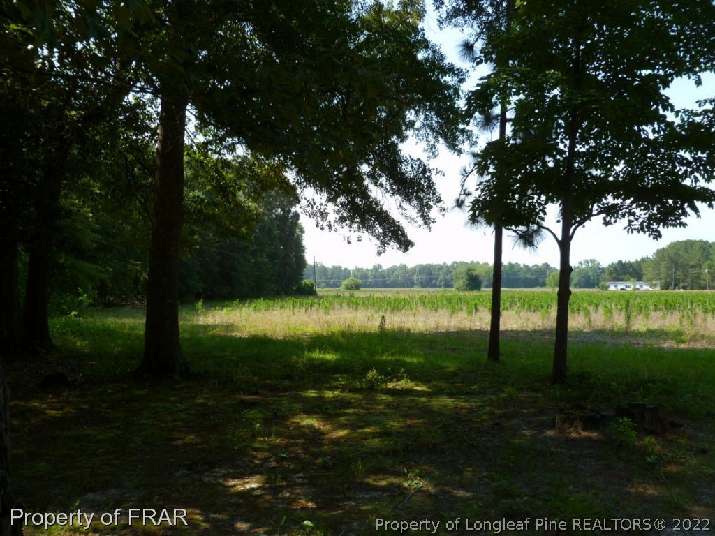 5169 Arabia Road Lumber Bridge, NC 28357 - Photo 30 of 36 Gallery Image 30