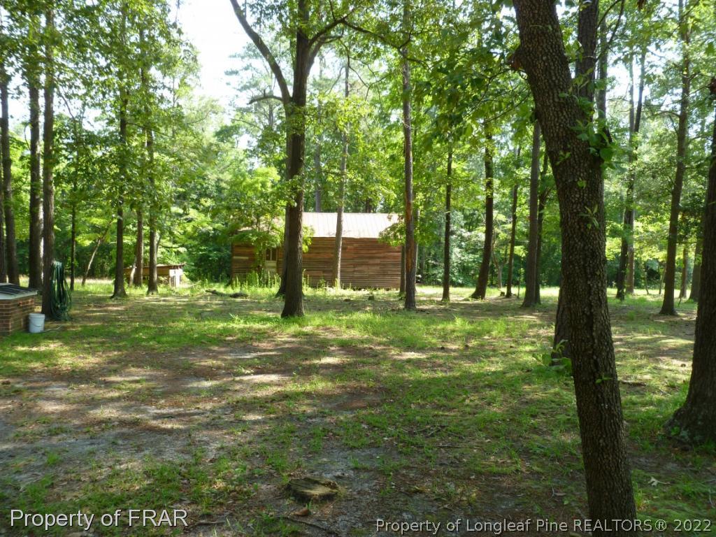 5169 Arabia Road Lumber Bridge, NC 28357 - Photo 32 of 36 Gallery Image 32