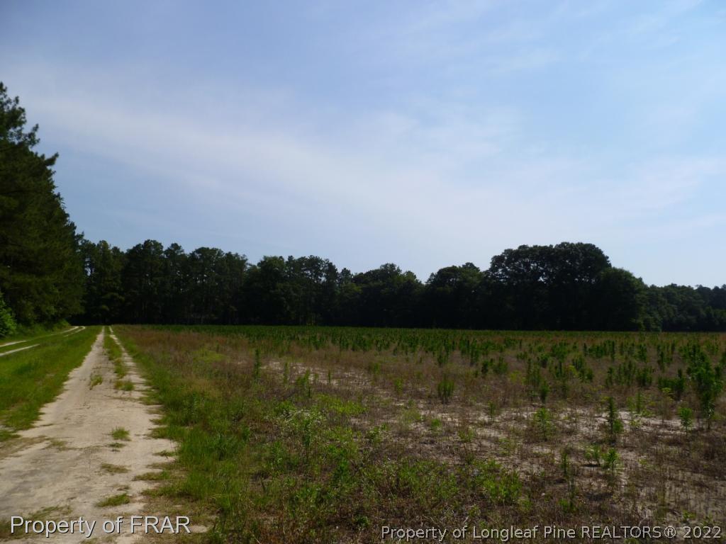 5169 Arabia Road Lumber Bridge, NC 28357 - Photo 33 of 36 Gallery Image 33