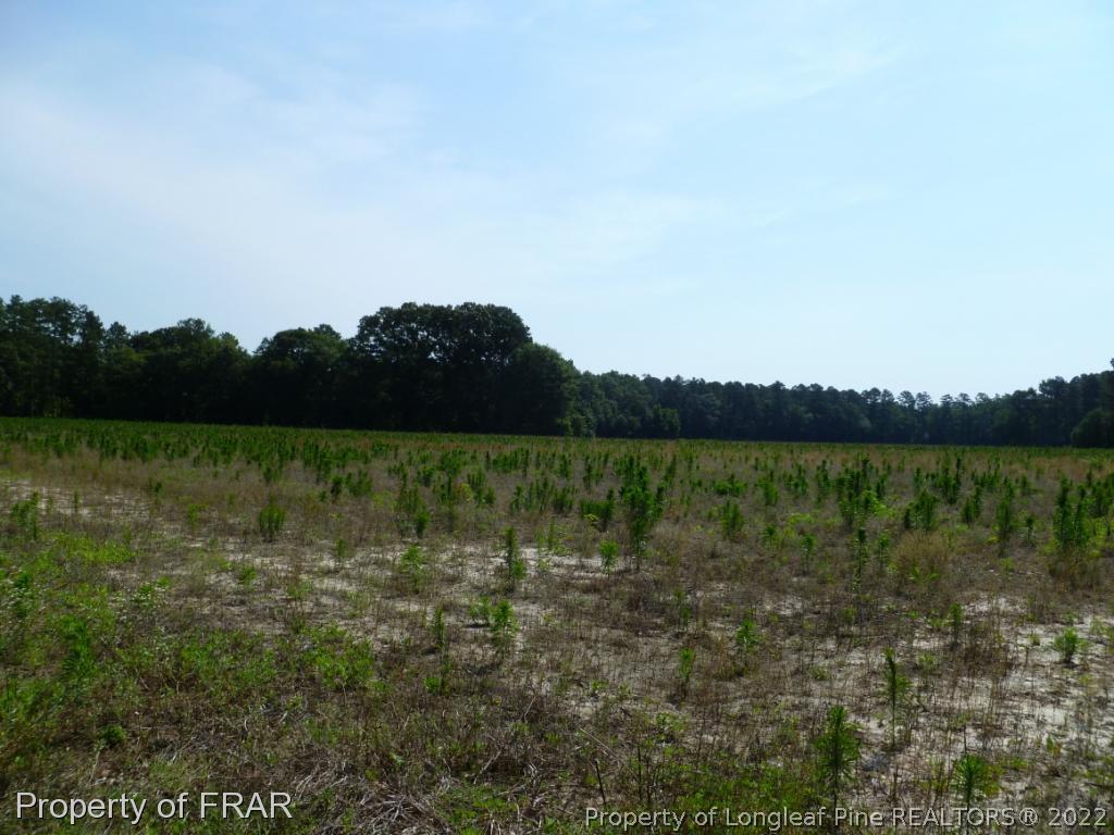5169 Arabia Road Lumber Bridge, NC 28357 - Photo 34 of 36 Gallery Image 34
