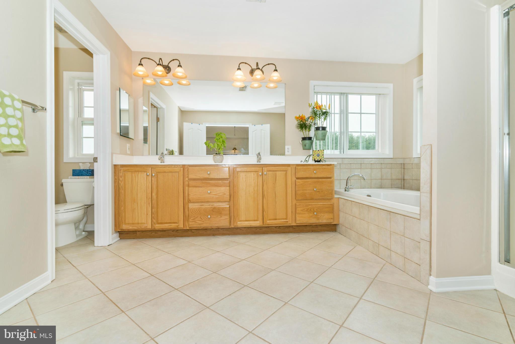 2501 Mullinix Mill Road Mount Airy, MD 21771 - Photo 17 of 27 Bath (Master)