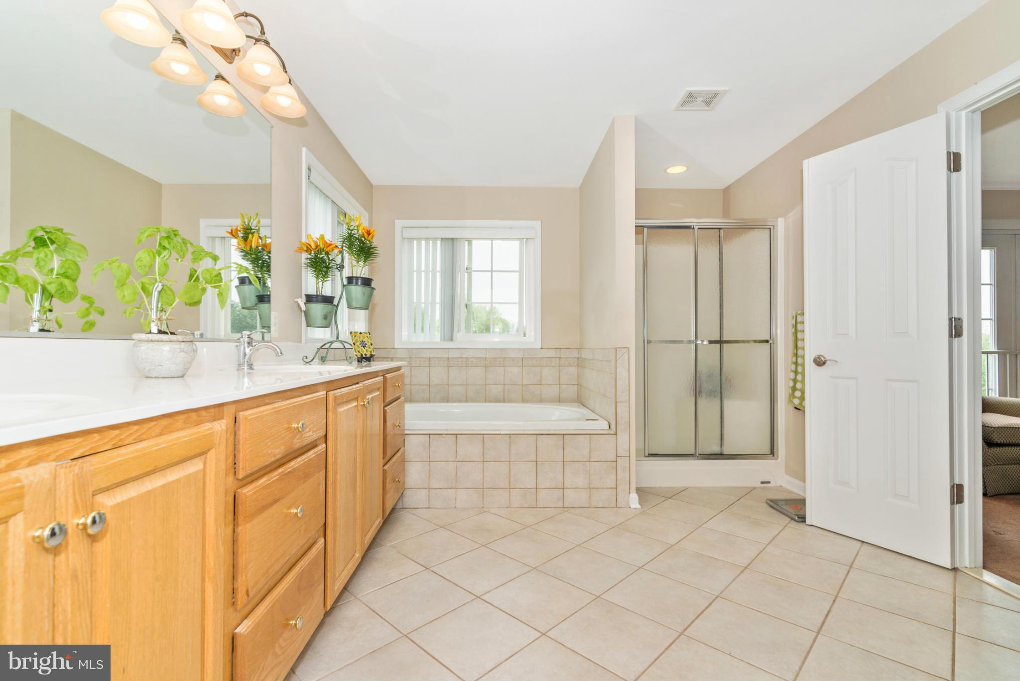 2501 Mullinix Mill Road Mount Airy, MD 21771 - Photo 18 of 27 Bath (Master)