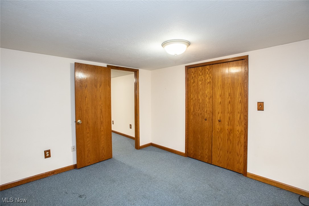 2624 Lester Road Medina, OH 44256 - Photo 40 of 50 Tis wall slides open for under stair access for storage