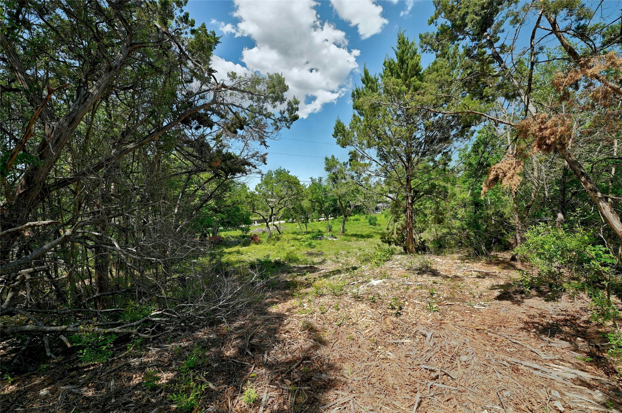 17168 Rocky Ridge Road Austin, TX 78734 - Photo 15 of 20 View of local wilderness