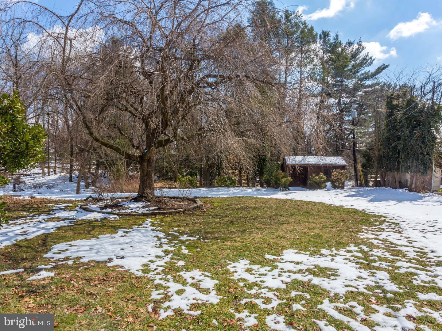 319 Lewis Road Broomall, PA 19008 - Photo 2 of 14 Back Yard