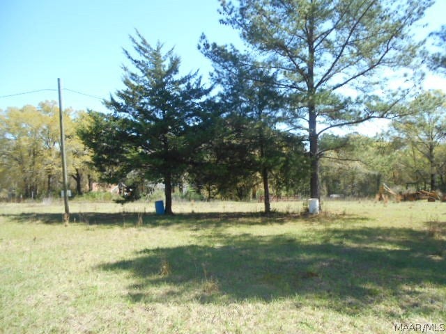 1083 Roaring Road Hartford, AL 36344 - Photo 19 of 25 Gallery Image 19