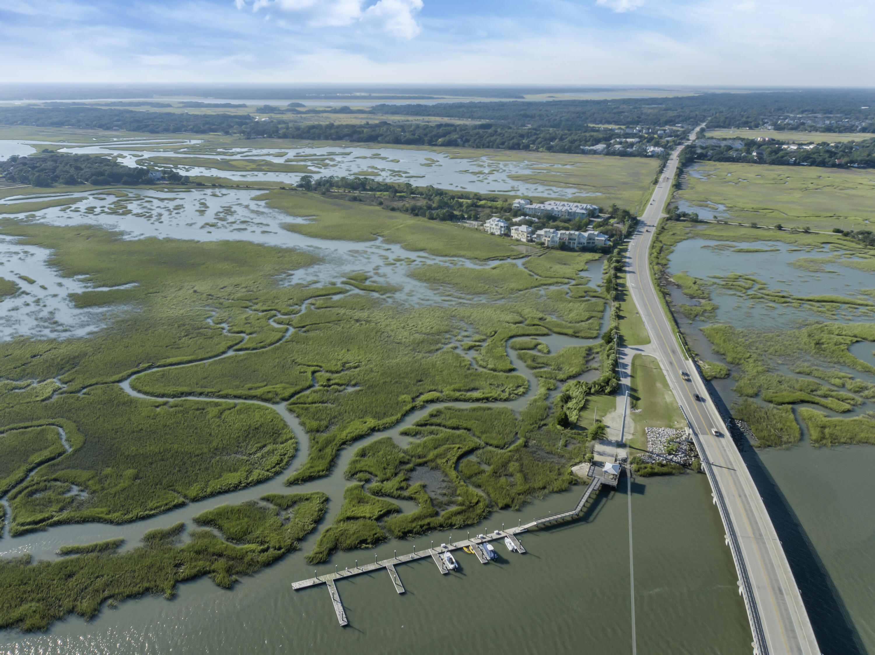 2129 Tides End Road Charleston, SC 29412 - Photo 55 of 58 DJI_0737