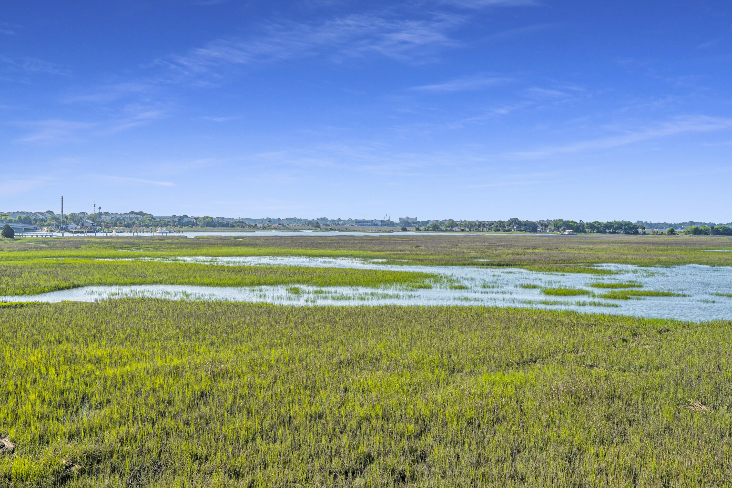 2129 Tides End Road Charleston, SC 29412 - Photo 8 of 58 2129TidesEndRd39