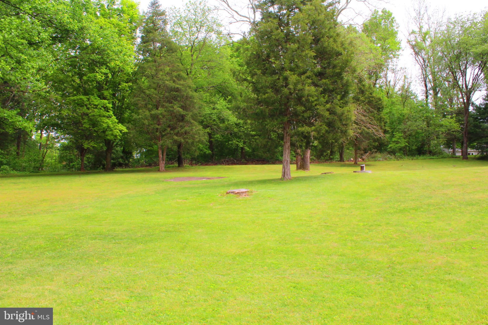 534 Lockhouse Road Falling Waters, WV 25419 - Photo 4 of 33