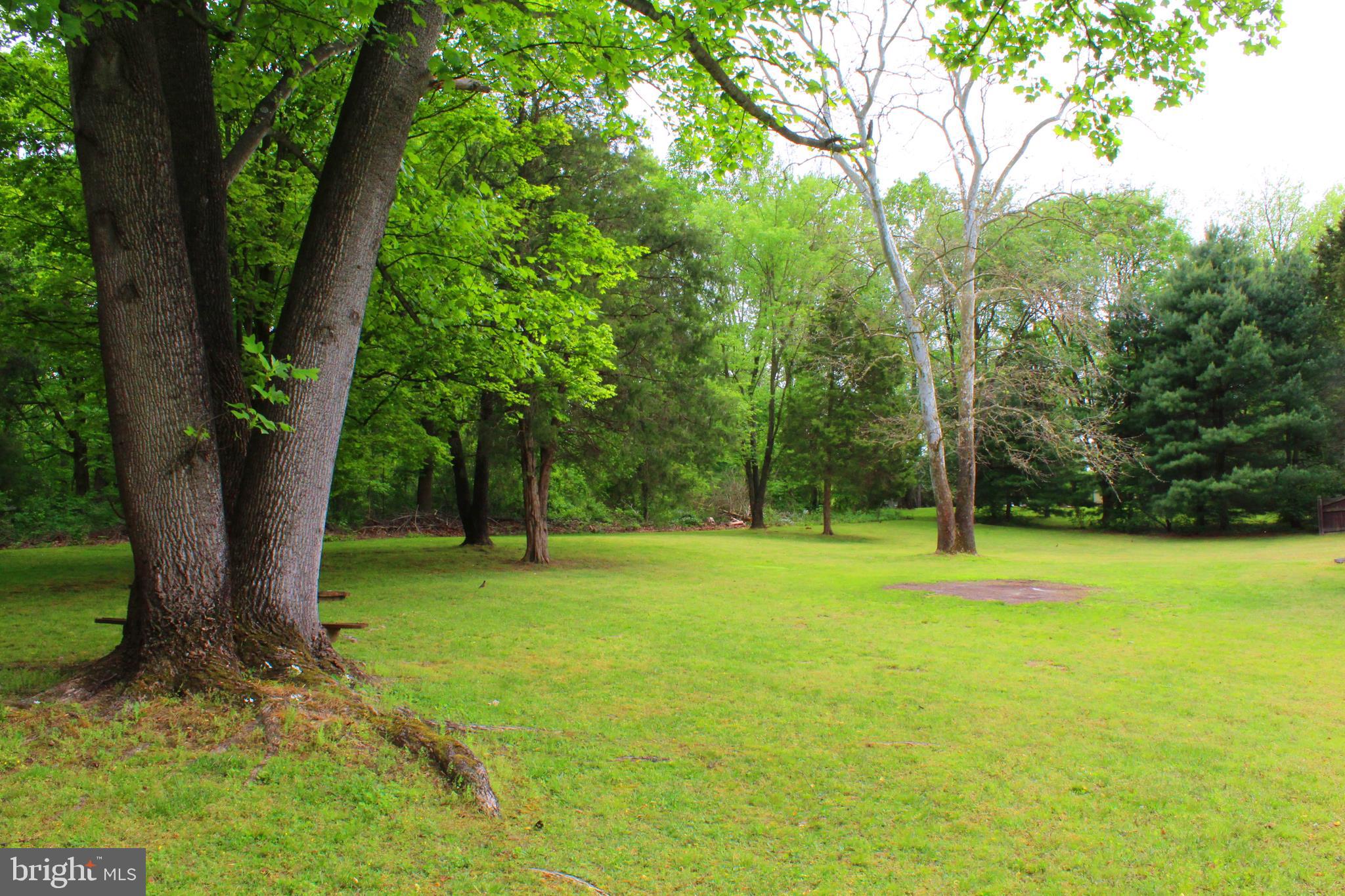 534 Lockhouse Road Falling Waters, WV 25419 - Photo 5 of 33