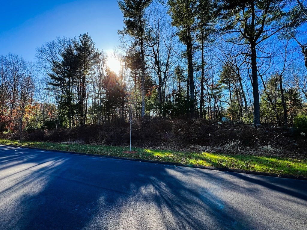 16 Stonewood Drive Canton, MA 02021 - Photo 1 of 6 a view of a yard