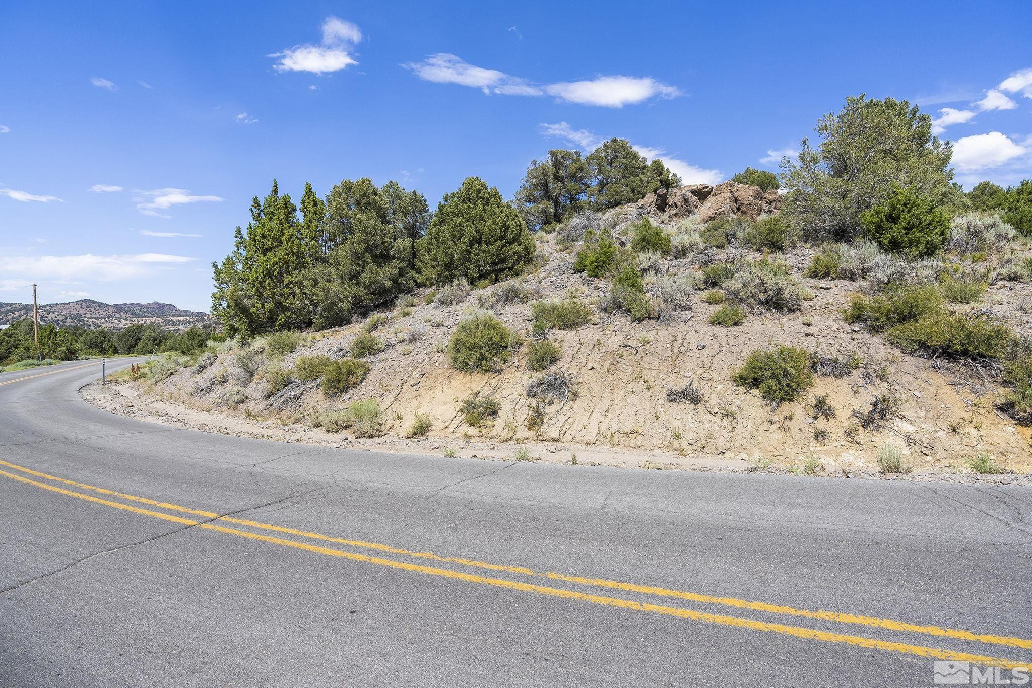 1853 Lousetown Road Reno, NV 89521 - Photo 16 of 17 a view of a road with a yard